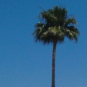 Meet your Posher, Kirsten